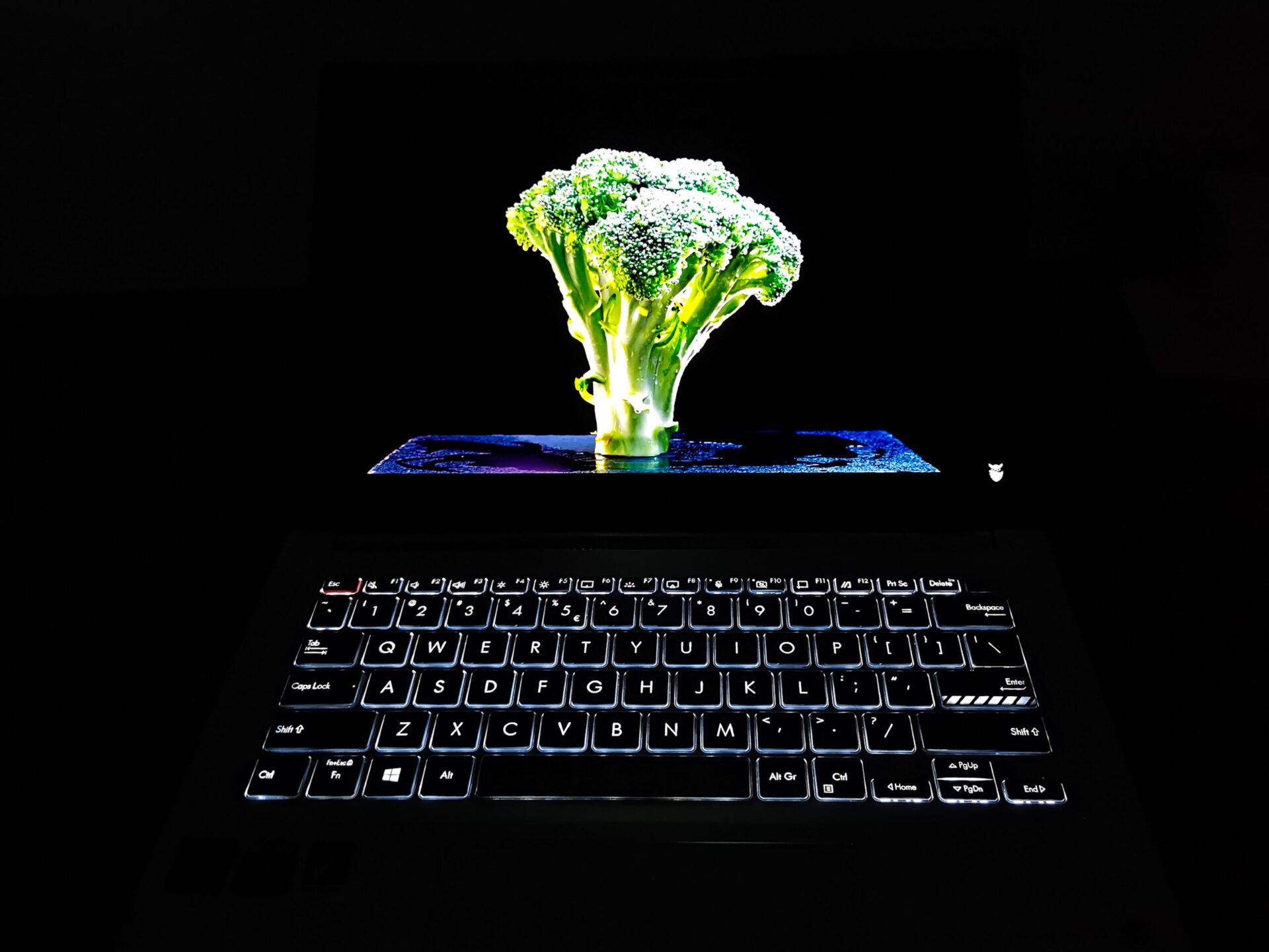 Asus Vivobook Pro 14X OLED