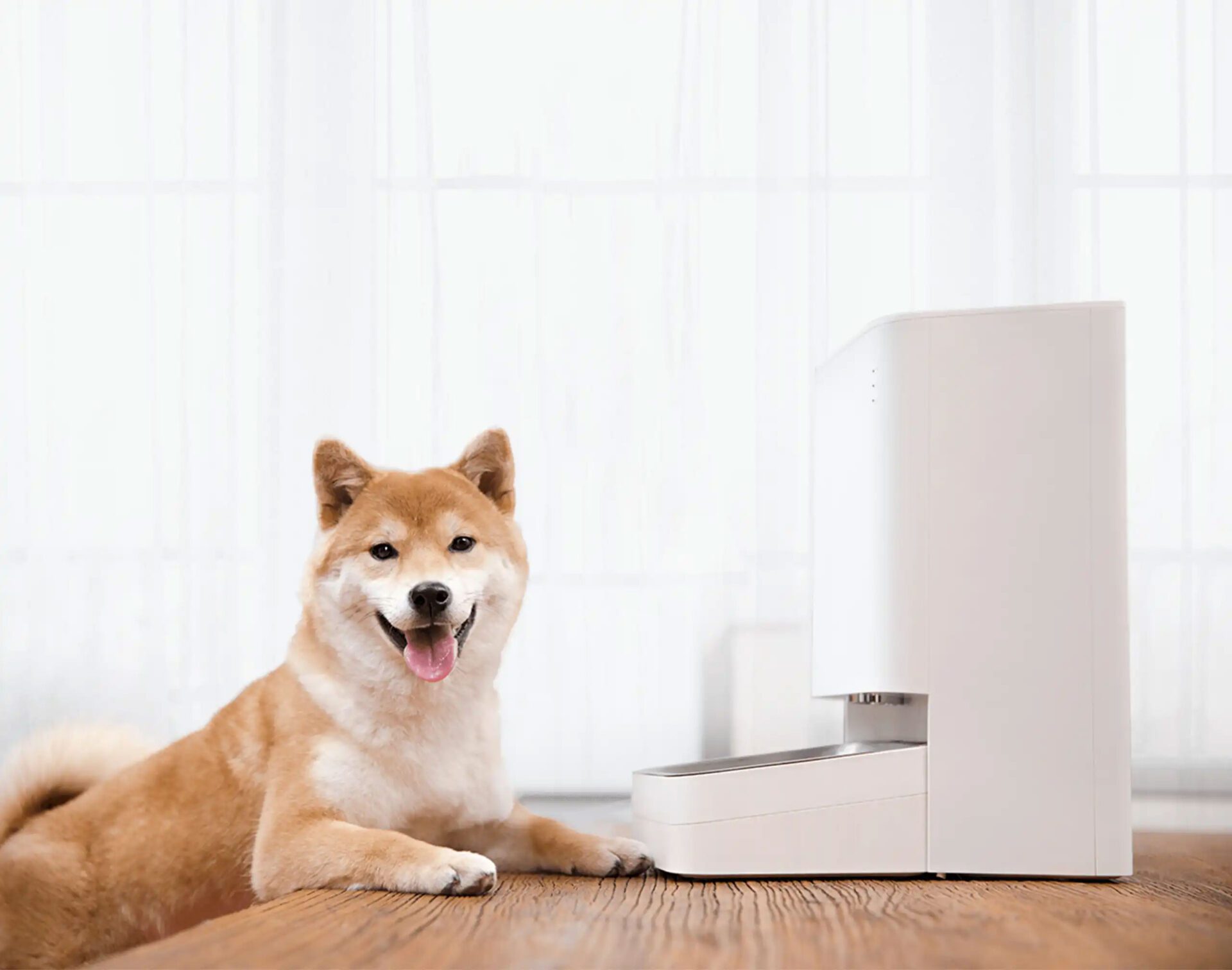 Odkryj Smart Wygodę z XIAOMI Smart Pet Food Feeder